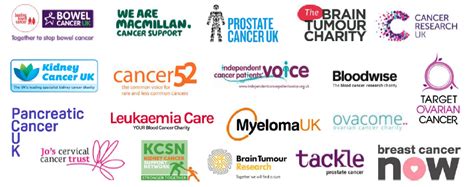 top cancer charities to donate to|Stand Up To Cancer .